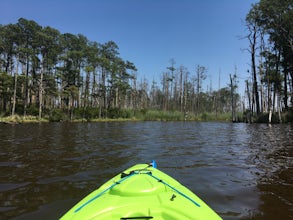 Kayak the Blackwater National Wildlife Refuge