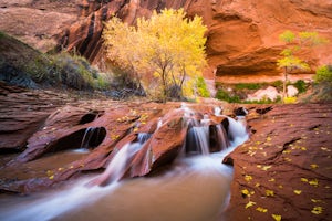Using Your Art to Advocate for Public Lands