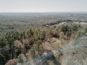 Climb the Unnamed Fire Tower in Tuscaloosa