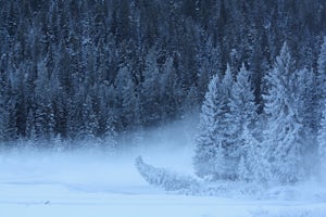 8 Photos of Winter in Yellowstone National Park
