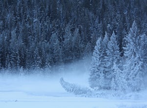 8 Photos of Winter in Yellowstone National Park