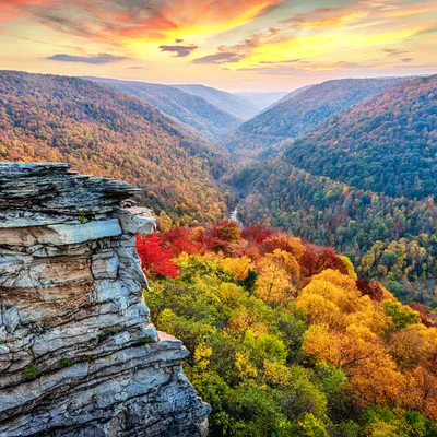 Hike to Lindy Point in Blackwater Falls State Park, West Virginia