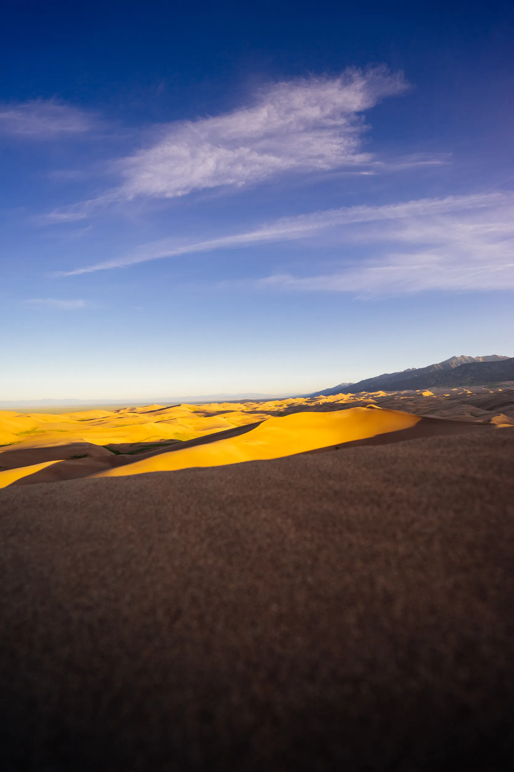 High Dune