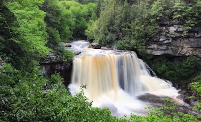 Camp at Blackwater Falls State Park, Blackwater Falls Camp Ground