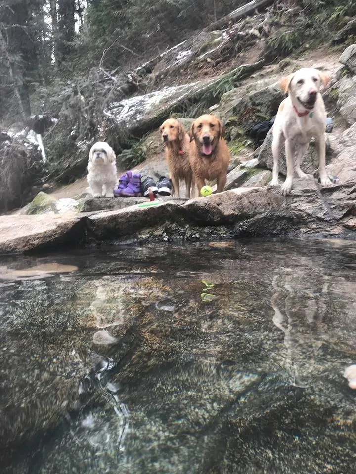 Weir Creek Hot Springs