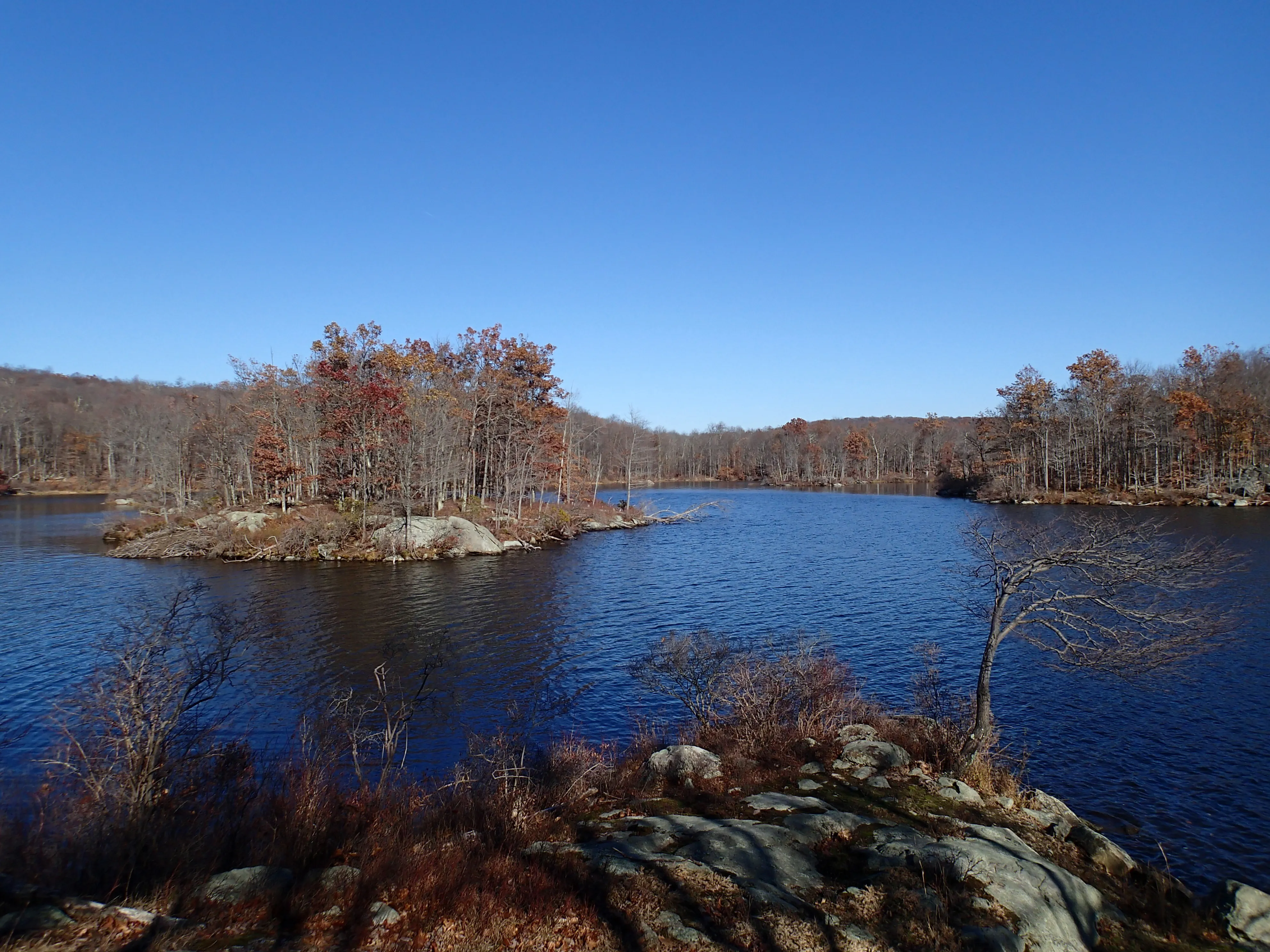 Thru Hike the Four Birds Trail