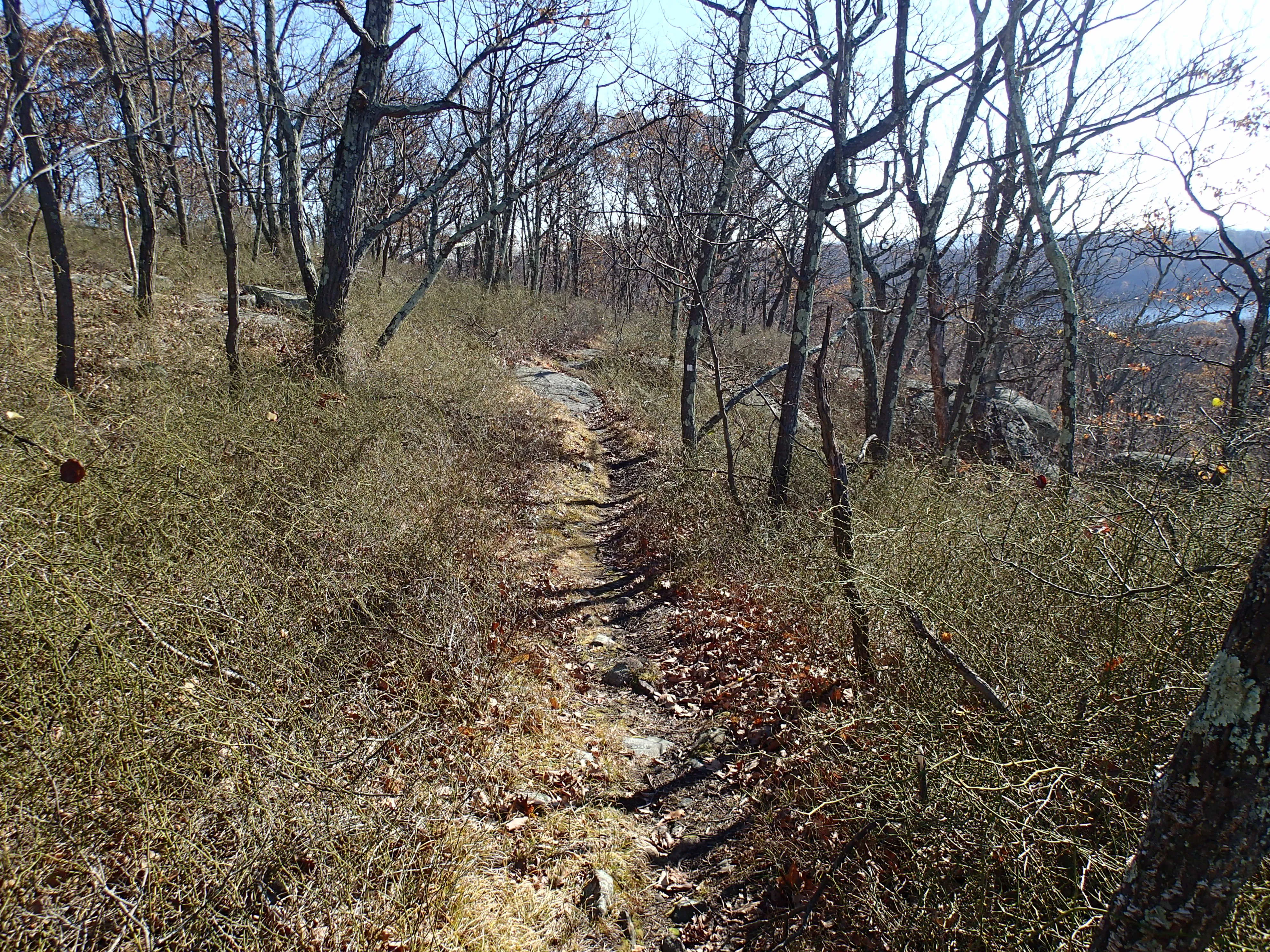 Thru Hike the Four Birds Trail