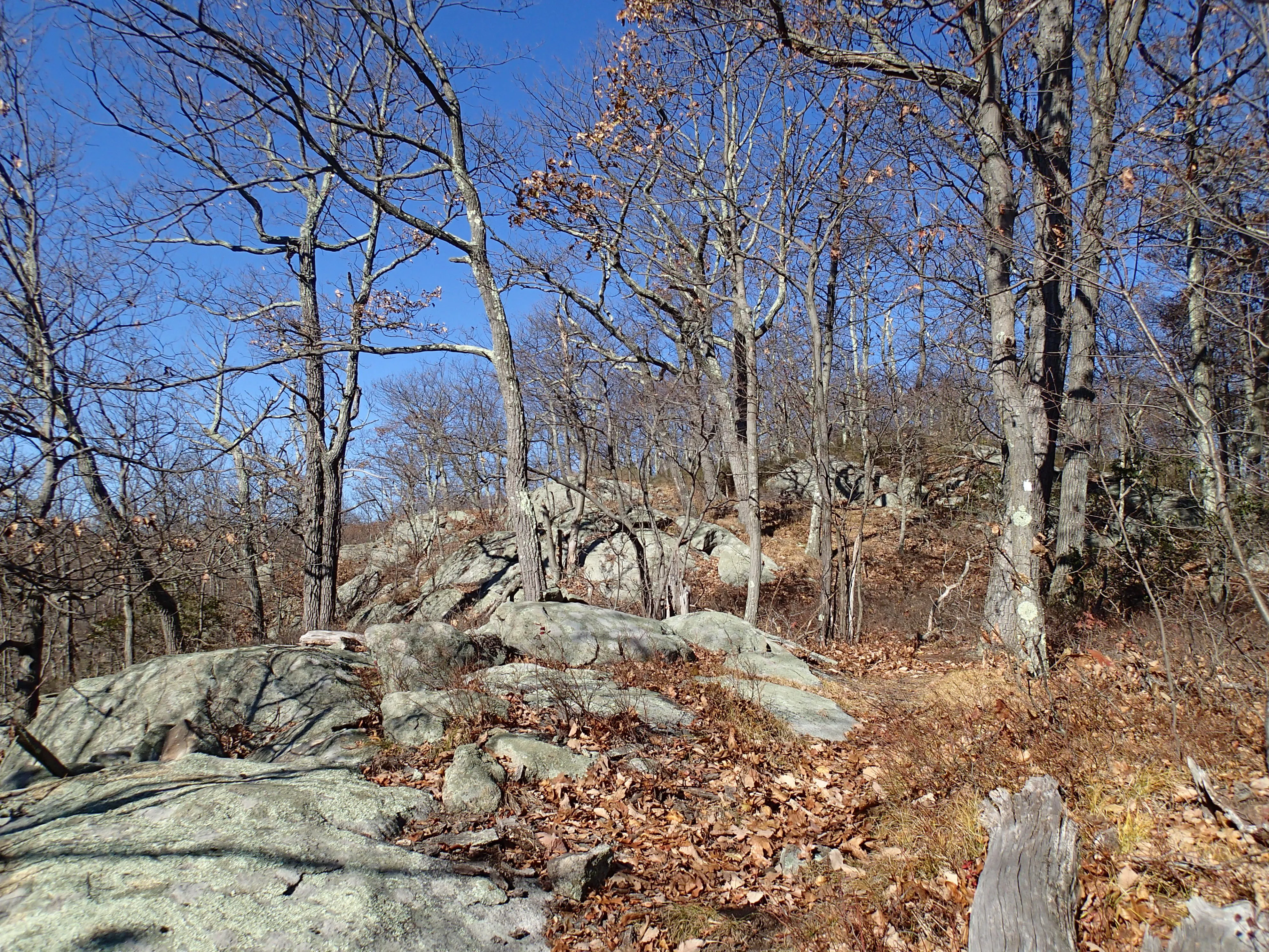 Thru Hike the Four Birds Trail