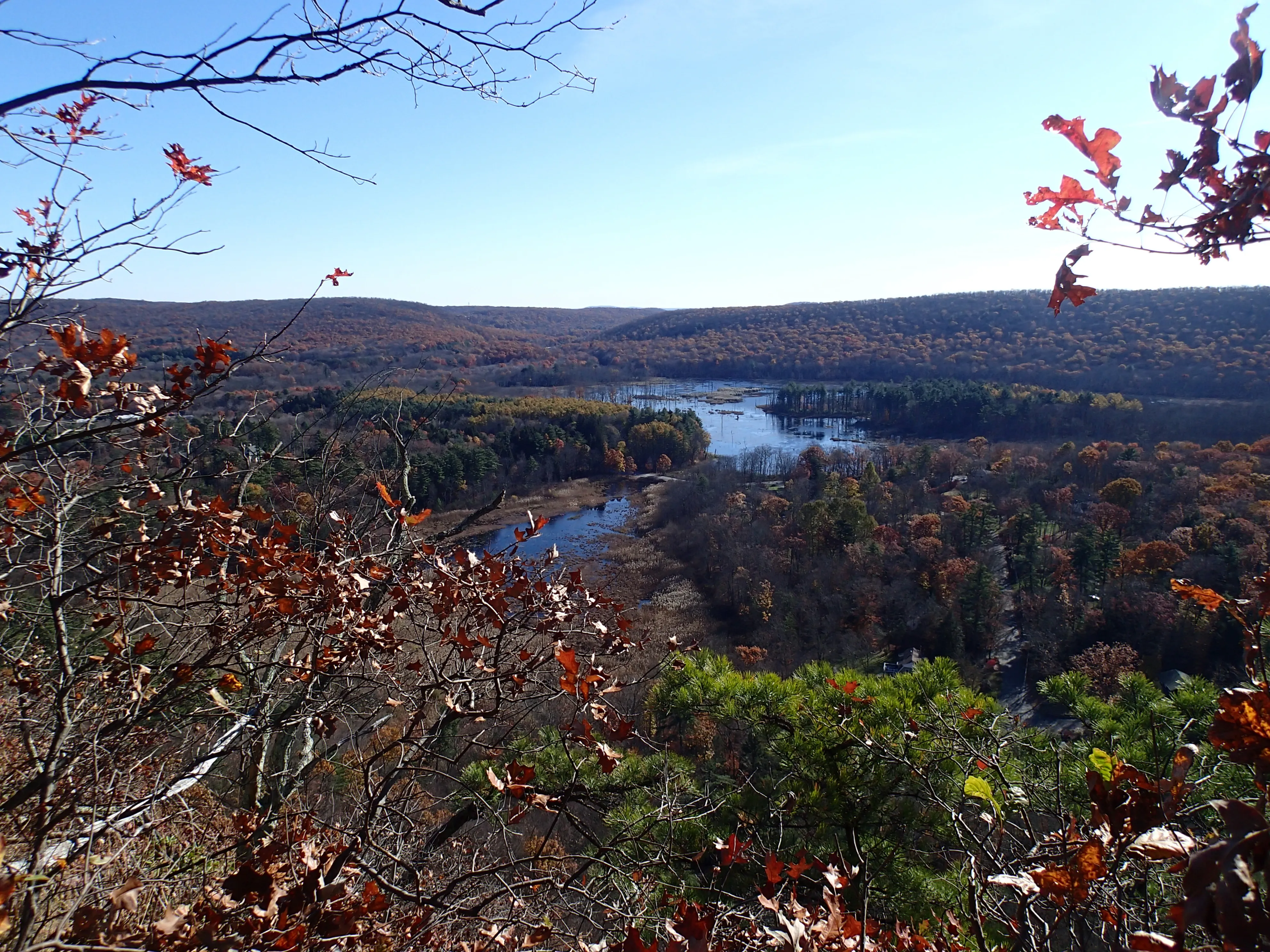 Thru Hike the Four Birds Trail