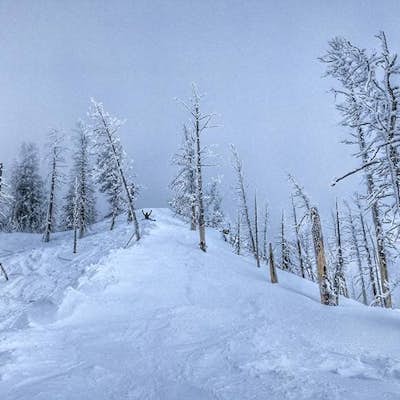 Ski / Snowboard Heavenly 