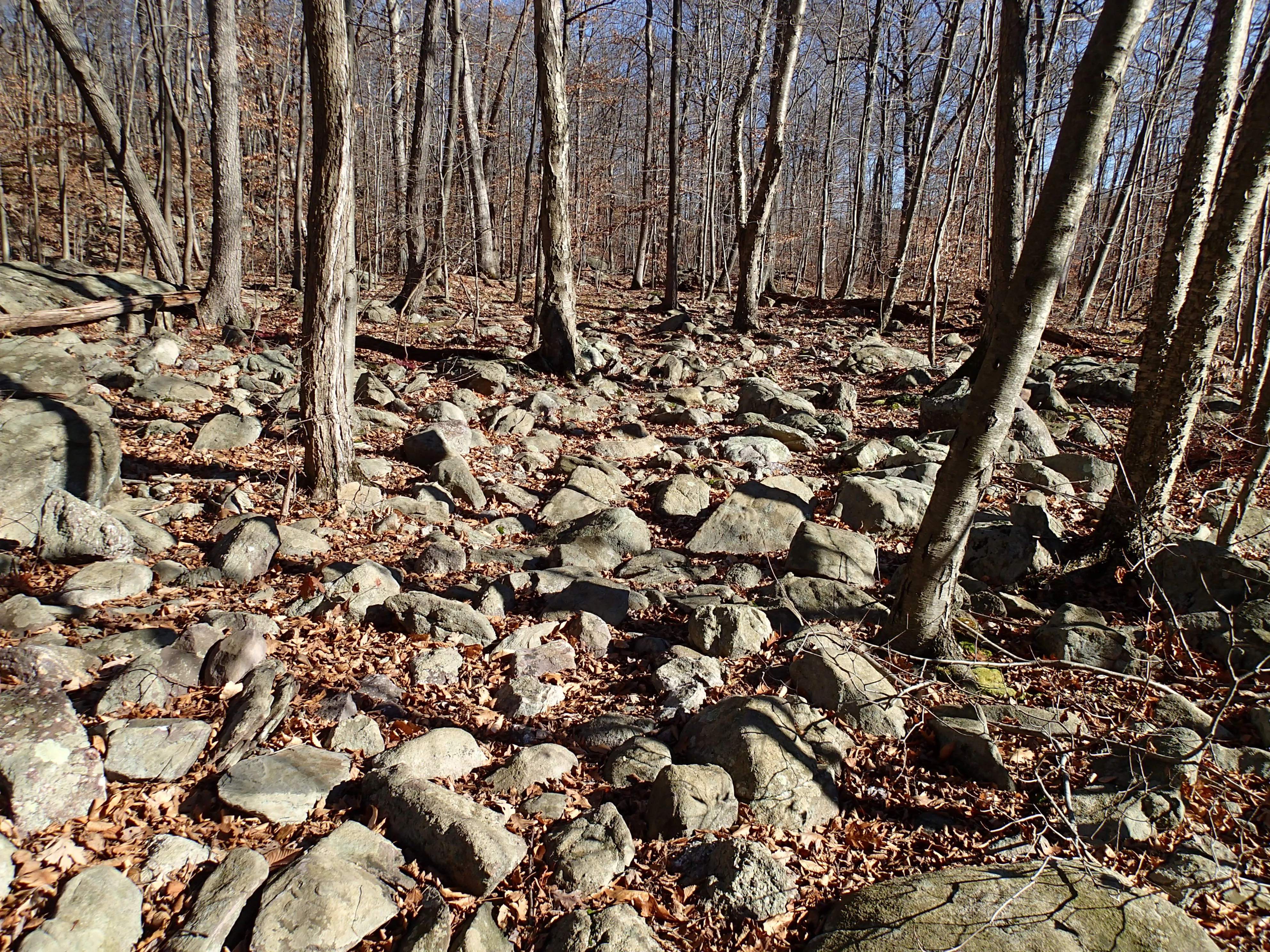 Thru Hike the Four Birds Trail