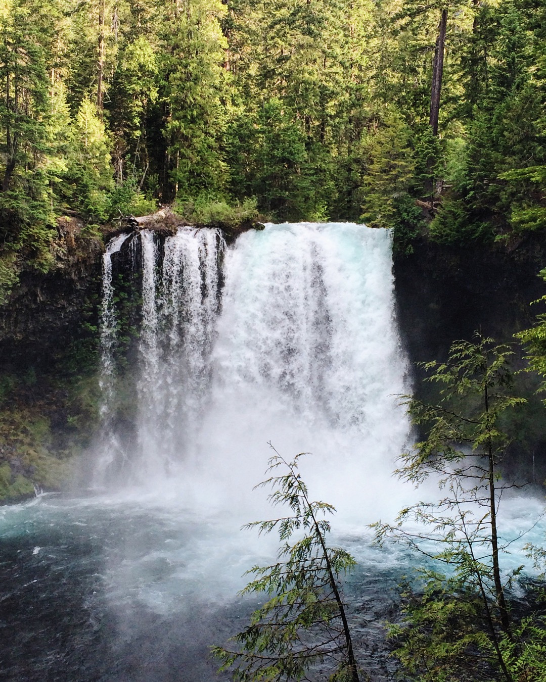 Hike To Sahalie And Koosah Falls, Sahalie And Koosah Falls Trailhead