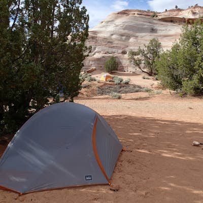 Desert Camp at White House Campground