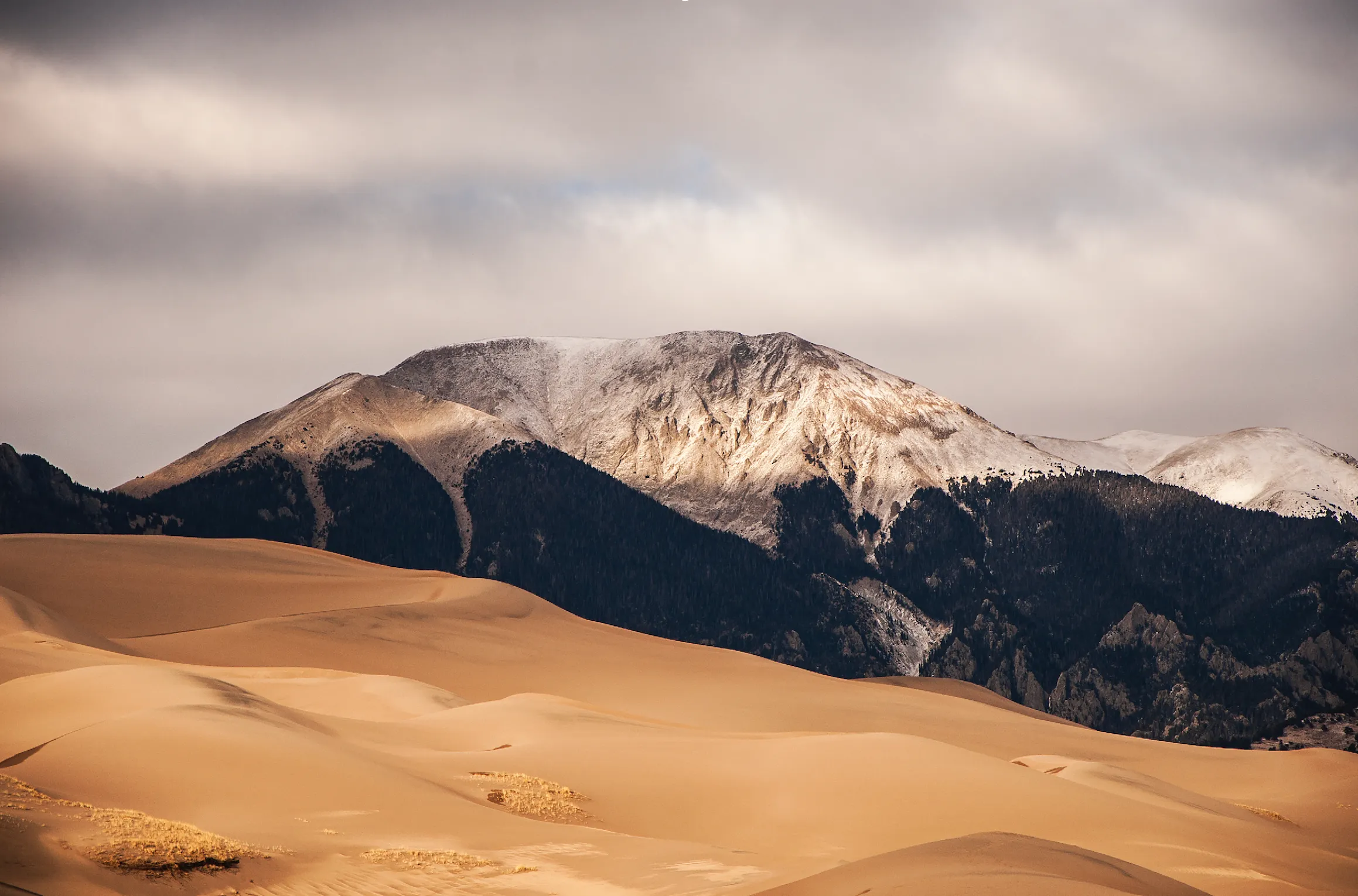 High Dune