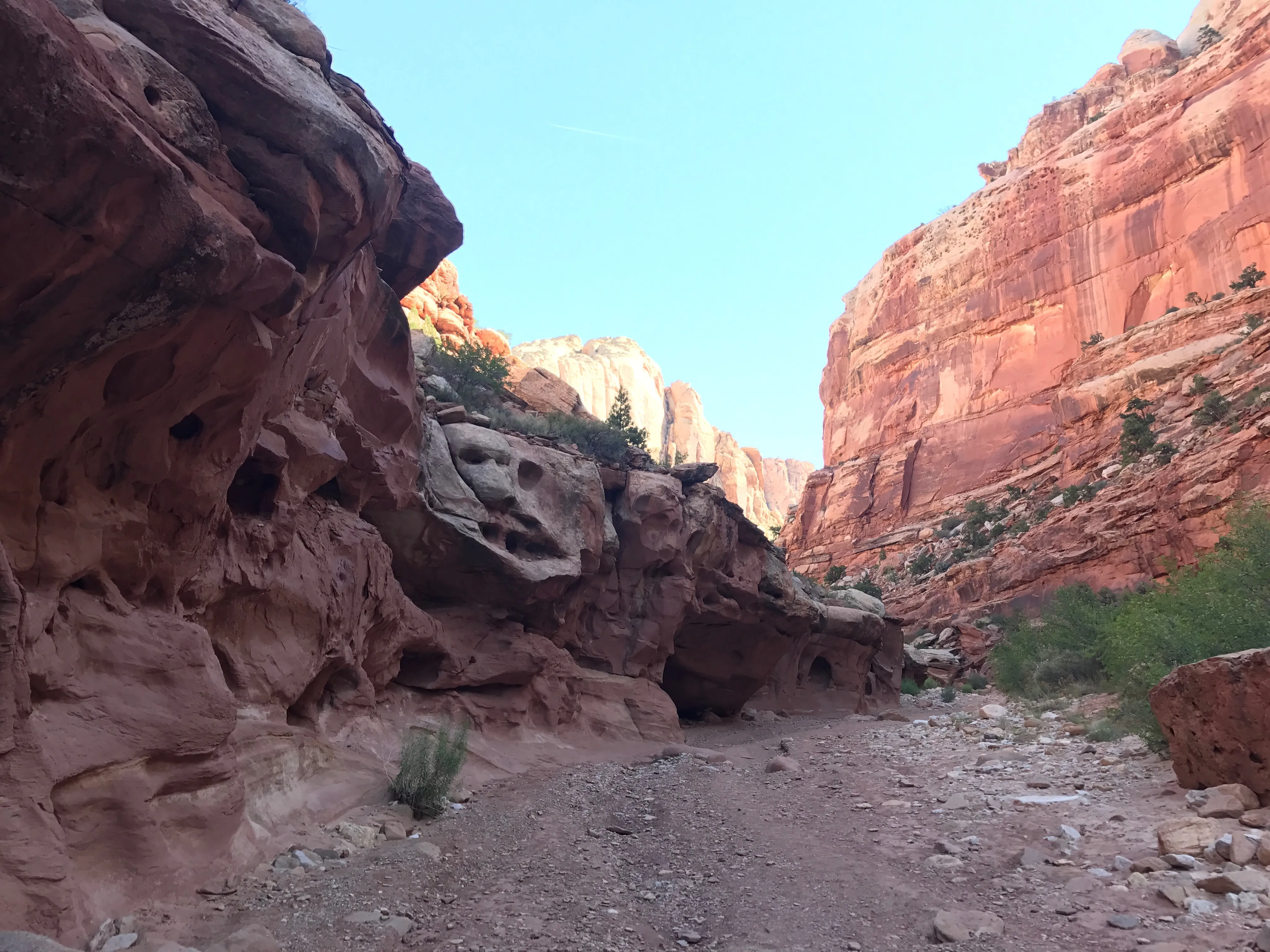 Grand Wash Trail, Capitol Reef National Park