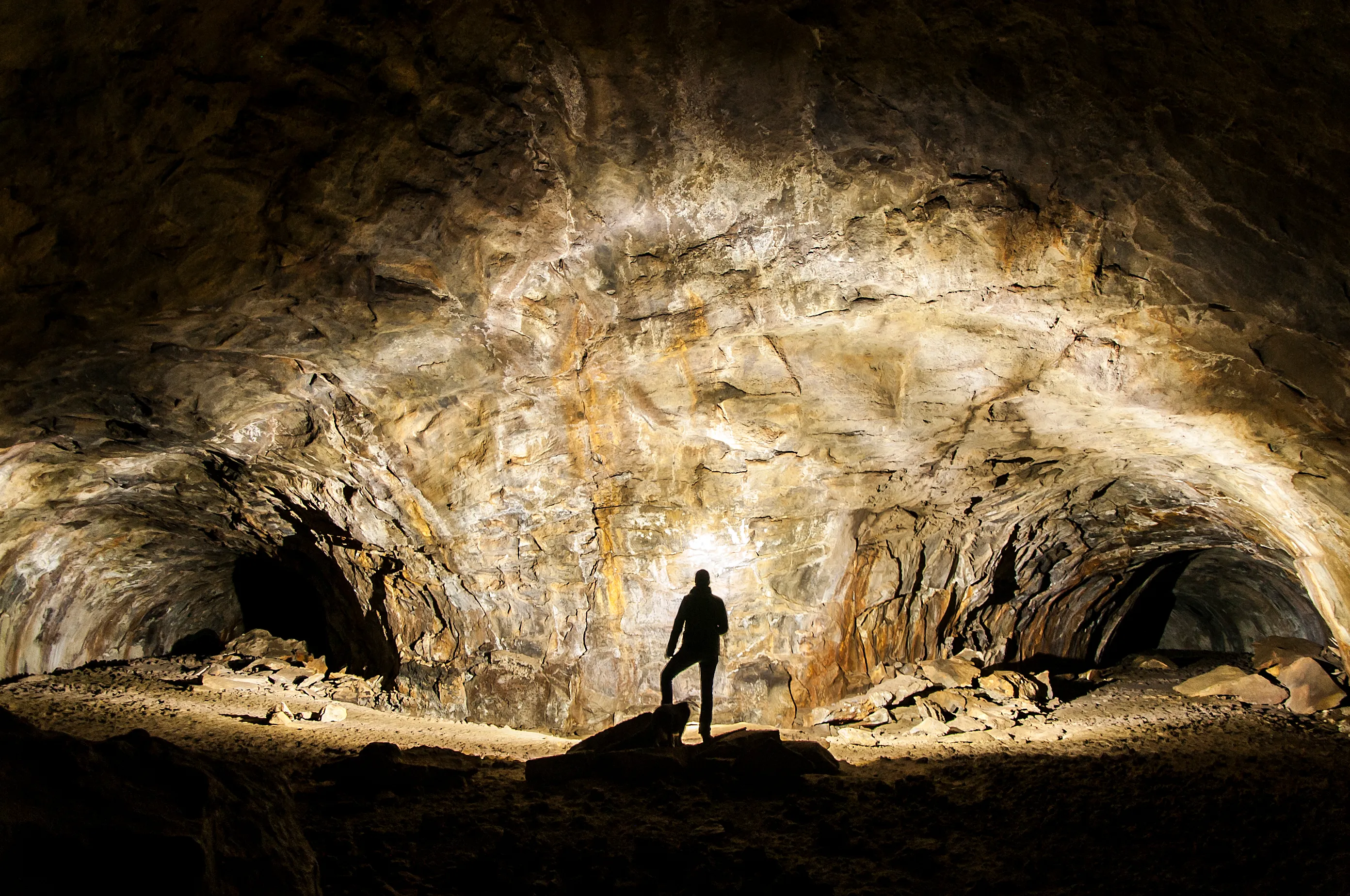 Explore Flagstaff's Lava River Cave