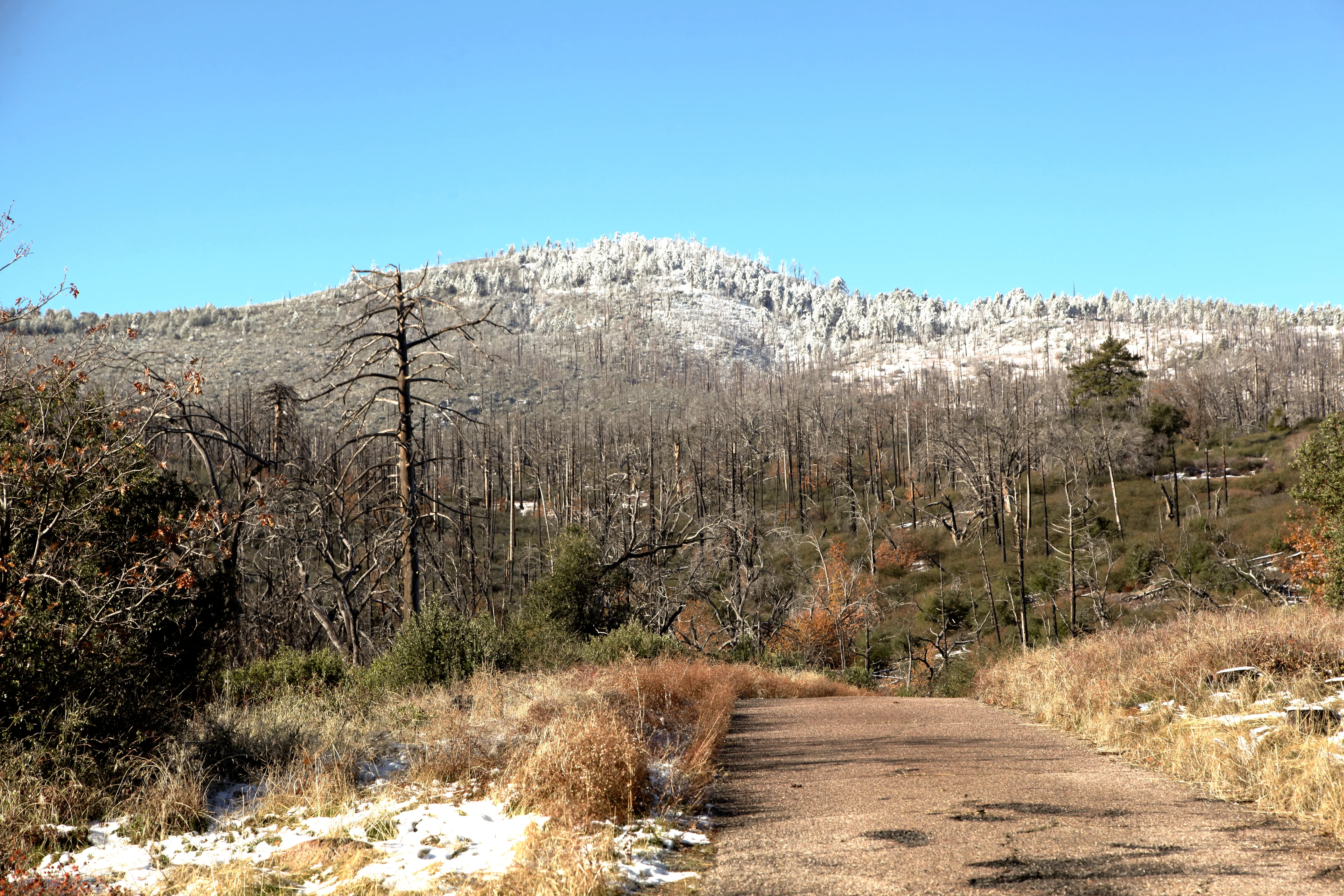 Cuyamaca Peak