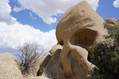 Skull Rock Trail at Joshua Tree National Park