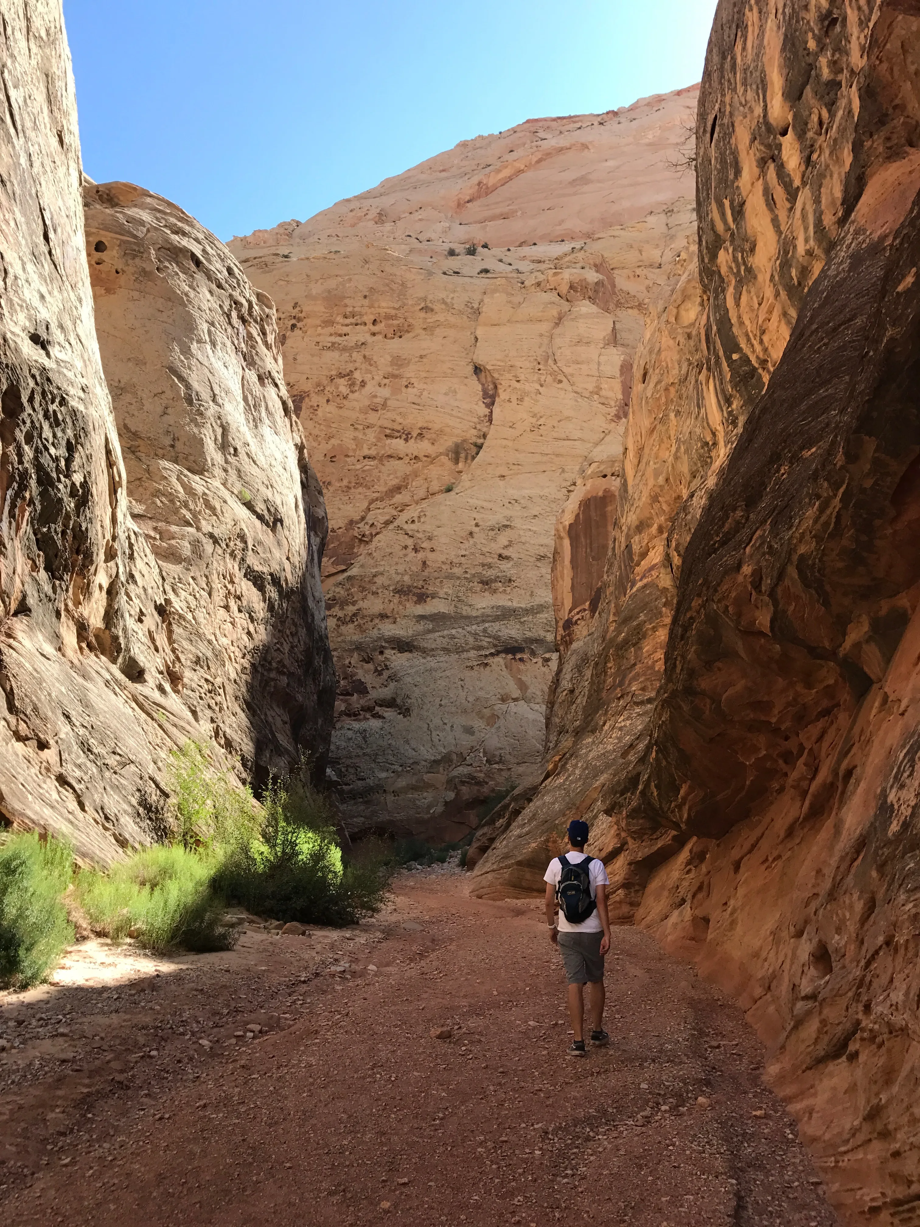 Grand Wash Trail, Capitol Reef National Park