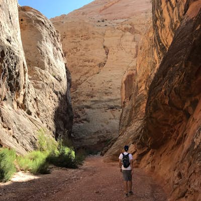 Grand Wash Trail, Capitol Reef National Park