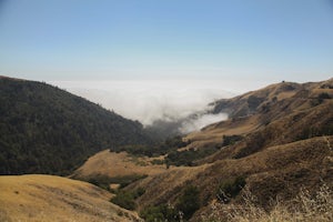 Vicente Flat Trail via Kirk Creek Campground