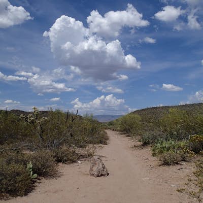 Hike Black Mesa Loop