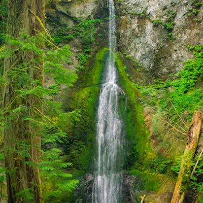 Hike to Marymere Falls