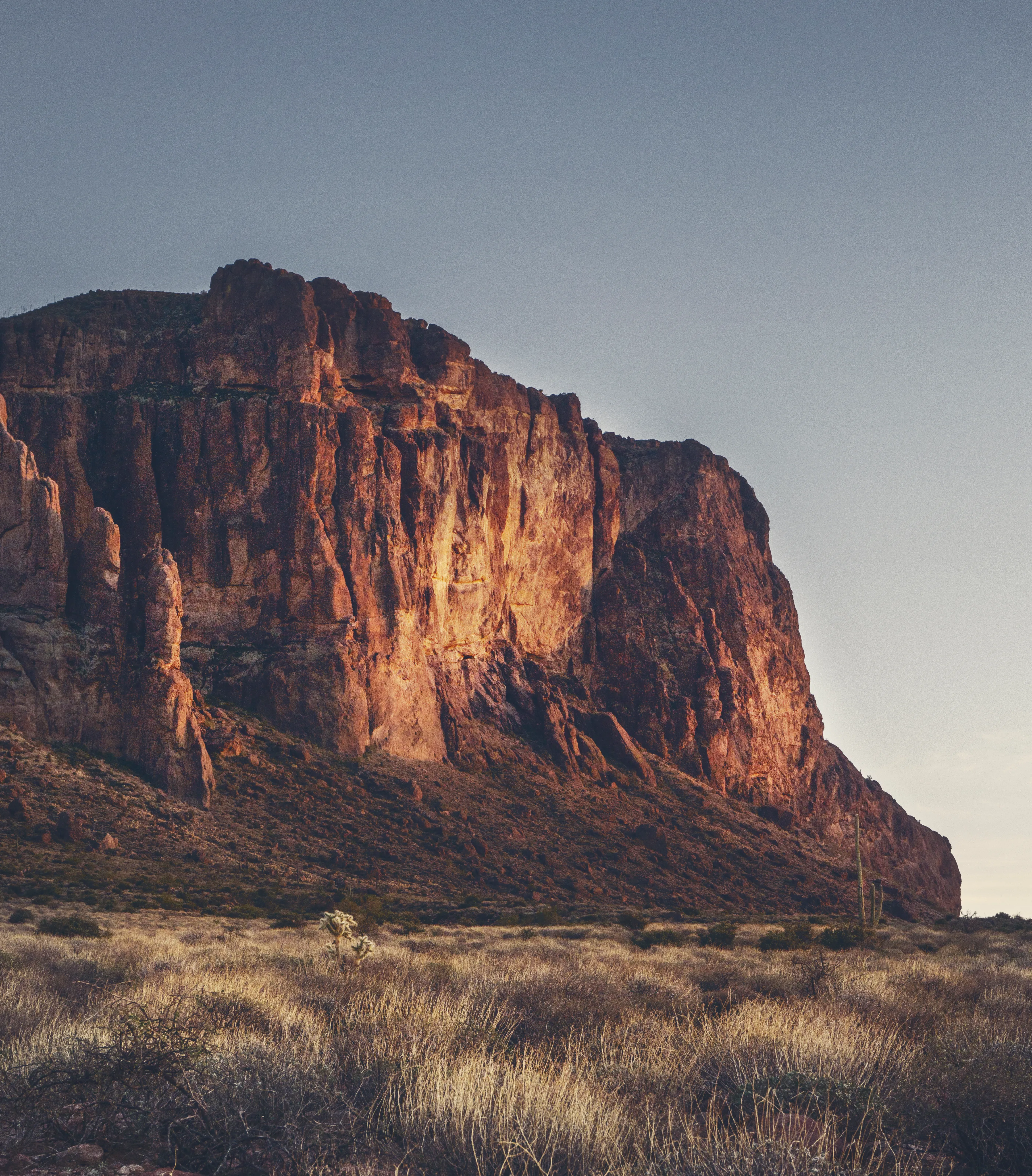 Camp at Lost Dutchman State Park