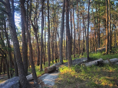 Hike to Wolf Rock and Cedar Rock, Stone Mountain Loop Trail