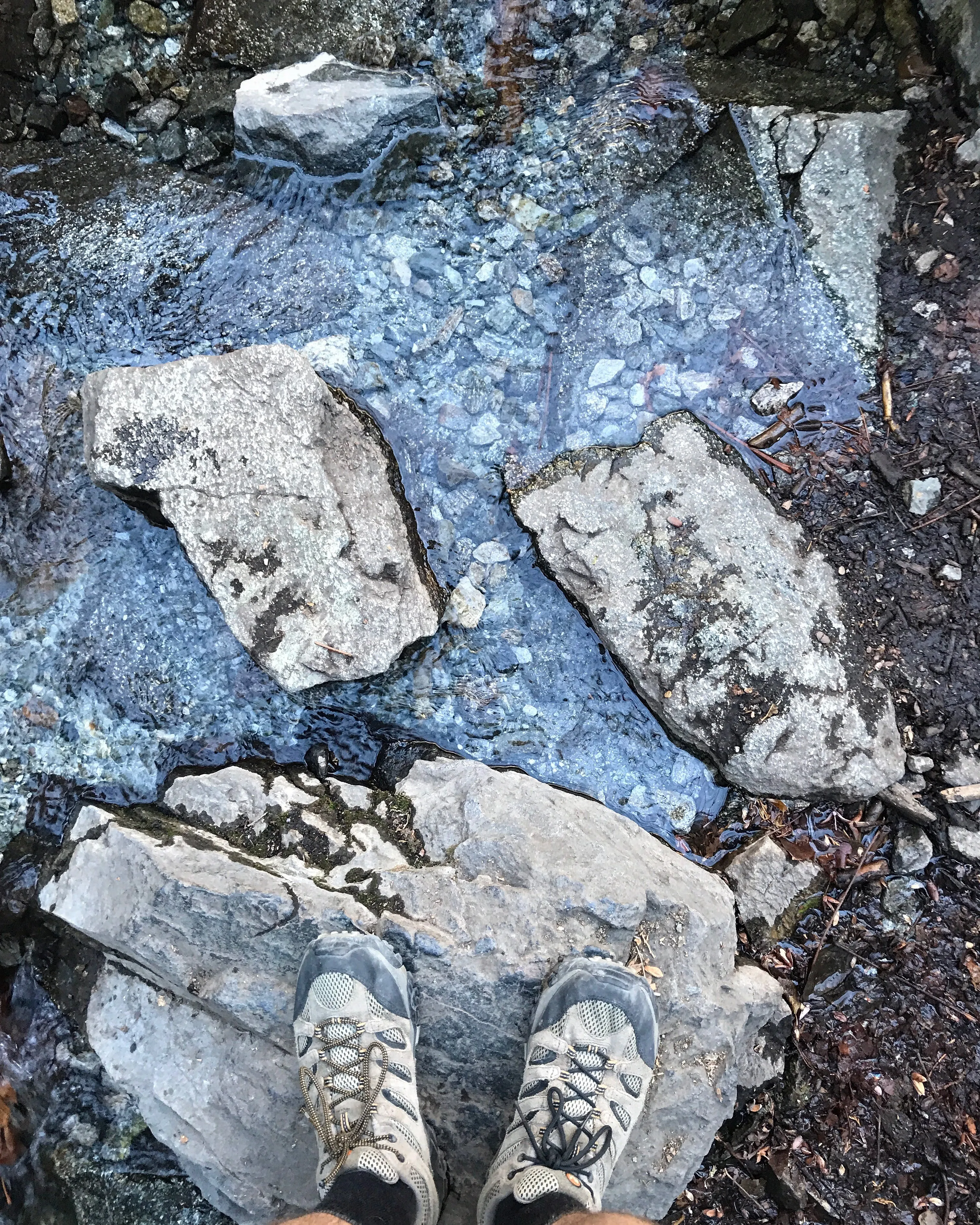 Icehouse Saddle via Icehouse Canyon Trail