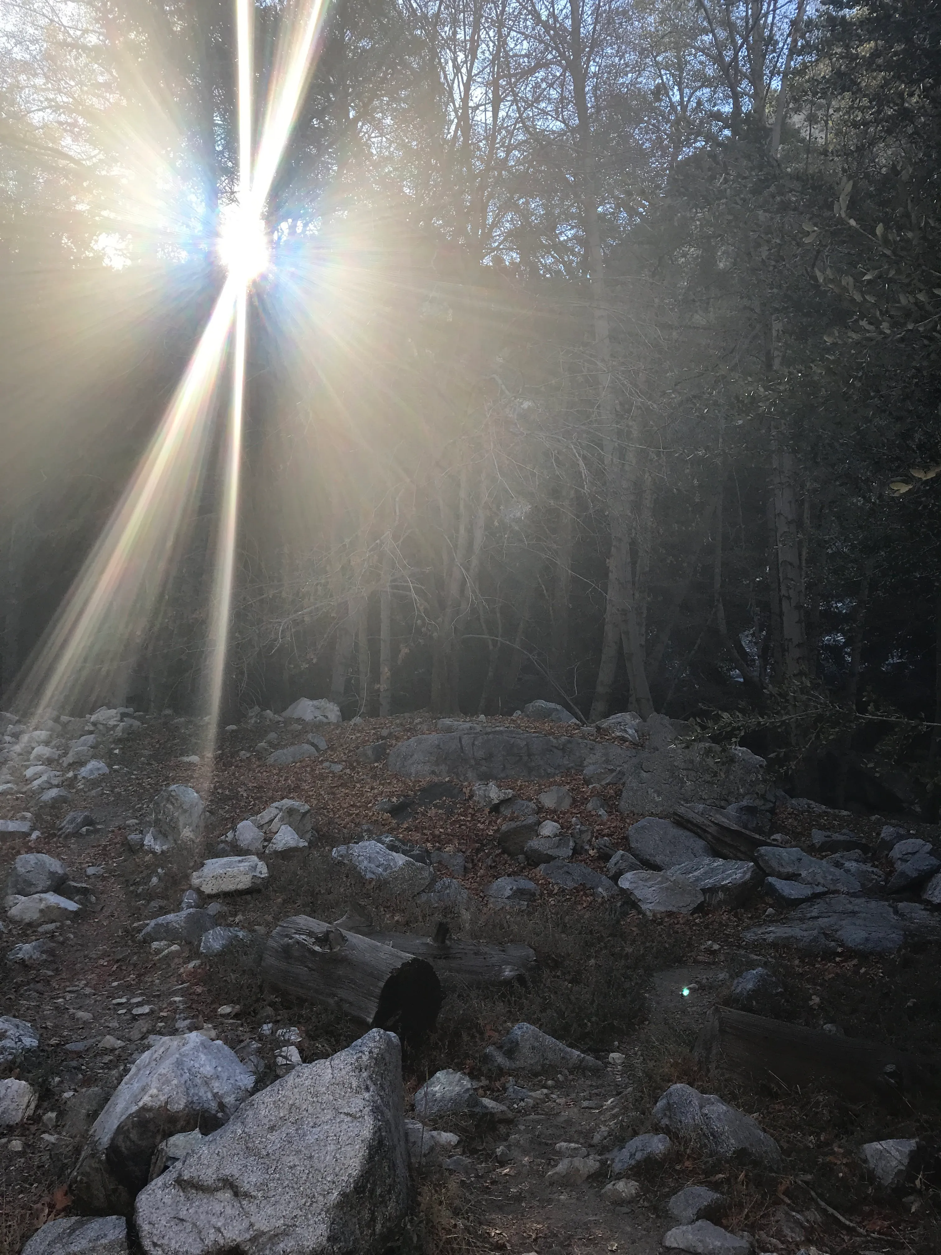 Icehouse Saddle via Icehouse Canyon Trail