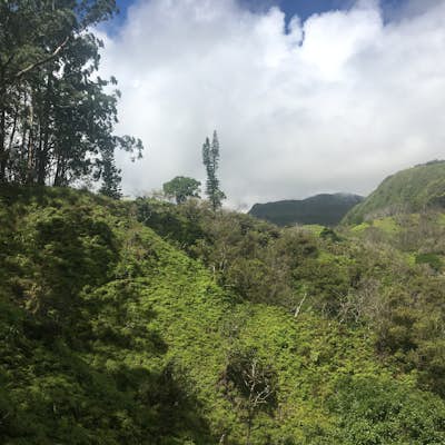 Hike the Waihe'e Ridge Trail