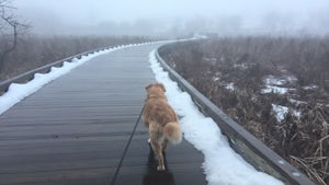 Hike Hastings Lake LCFP