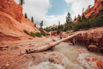 Hike Mossy Cave in Bryce Canyon