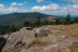 Grassy Ridge Bald in the Roan Highlands