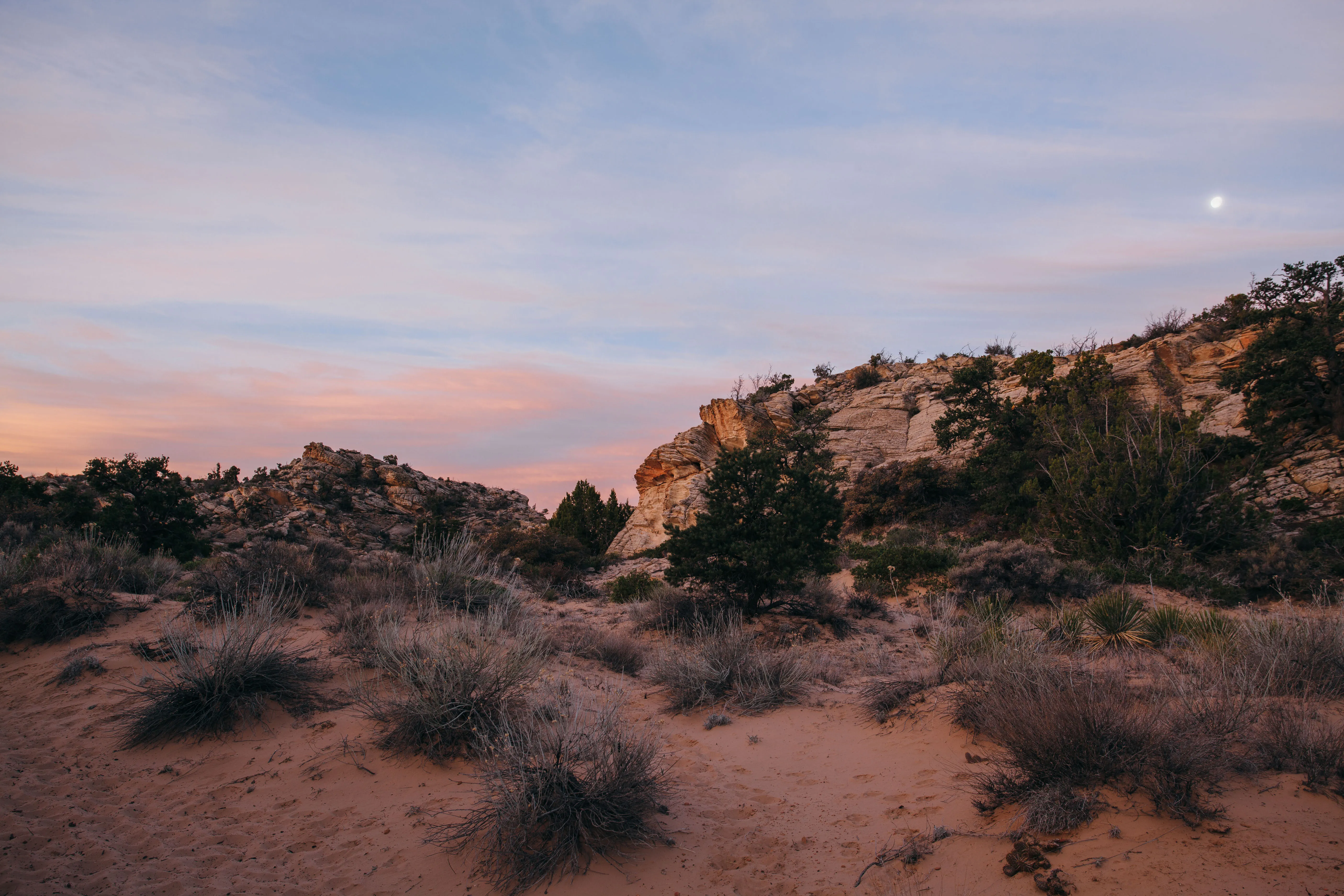 Snow Canyon Overlook via Red Mountain Trail