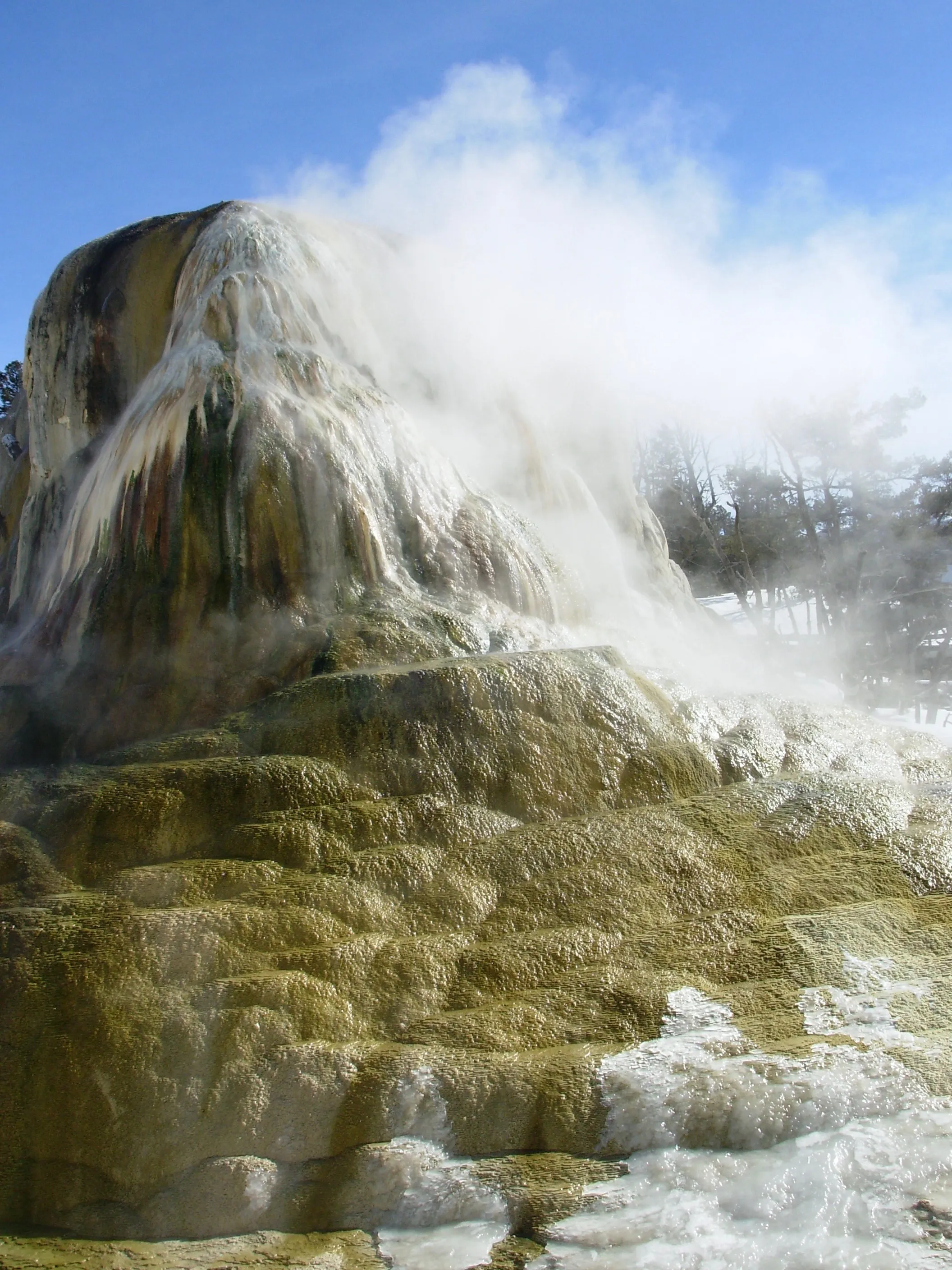 Mammoth Hot Springs