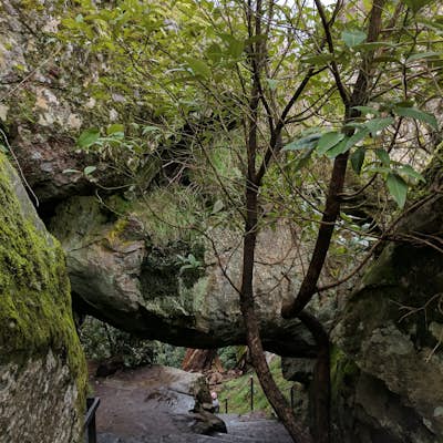 Explore Hanging Rock