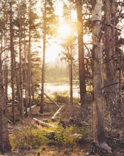 Sprague Lake Loop