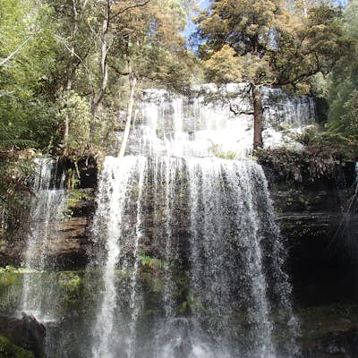 Hike in the Tasmanian Wilderness at Russell Falls