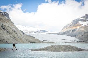 Hike to the Saskatchewan Glacier 