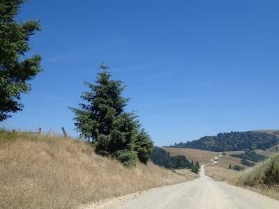 Drive Bald Hills Road in Redwood National and State Parks