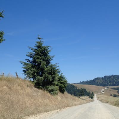 Drive Bald Hills Road in Redwood National and State Parks