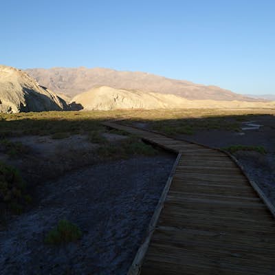Hike the Salt Creek Interpretive Trail 
