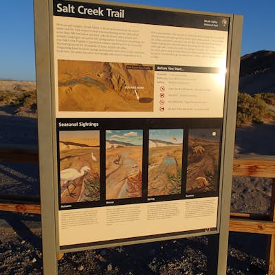 Hike the Salt Creek Interpretive Trail 