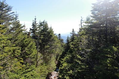 Hike Mount Moosilauke via Beaver Brook Trail