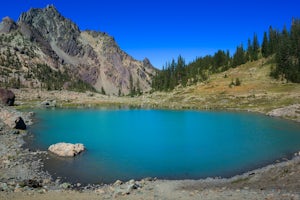 Hunger Games on the Trail to Olympic NP's Upper Royal Basin