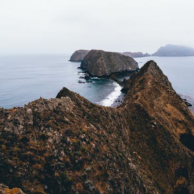 Hike East Anacapa Island of the Channel Islands