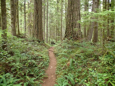 Hike the Heart O' the Forest Trail, Heart Of The Hills Campground