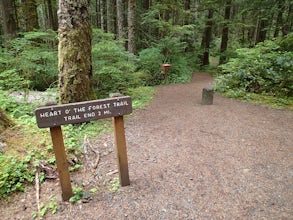 Hike the Heart O' the Forest Trail